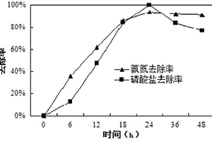 一株高鹽異養硝化-好氧反硝化除磷的鹽弧菌及其在廢水處理中的應用