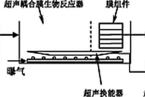处理难降解有机废水的超声耦合膜生物反应器