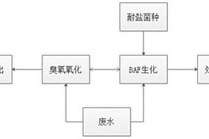 新型順酐廢水深度處理系統及其工藝