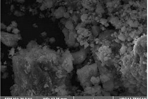 用于吸附廢水中LAS的環保改性天然沸石吸附劑制備方法