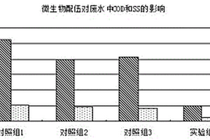 凈化發酵廢水的生化制劑及其制備方法