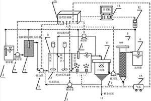 電解催化氧化-A2/O-BAF廢水處理實時控制裝置