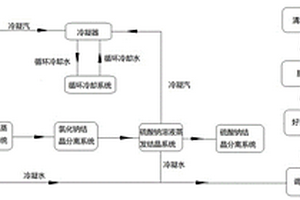 硫酸鈉、氯化鈉混合高鹽廢水的污水處理系統