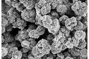 基于有機廢水處理的Mg-ZSM-5分子篩催化劑及制作工藝