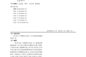 沼氣池—生物膜反應器—人工濕地處理豬場廢水工藝