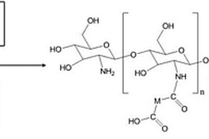酰胺酸功能化殼聚糖吸附材料及其制備方法和用途