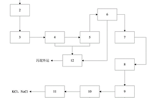 垃圾焚燒飛灰洗水資源化處理系統