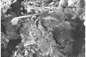 活性炭-Ag<Sub>2</Sub>O-CuO-Bi<Sub>2</Sub>O<Sub>3</Sub>吸附材料及其制備方法和應用