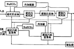 高氨氮濃度廢水生化處理方法