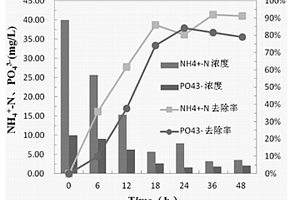 一株耐鹽脫氮除磷高地芽孢桿菌其在廢水處理中的應用