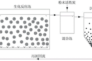 利用載體流態化生物膜反應器處理廢水的方法