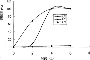 一株Diaphorobacter菌在焦化廢水除酚中的應用