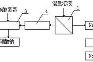 含鹽廢水的零排放處理系統及其處理方法
