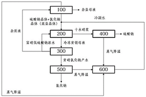基于凝結水回收的鹽硝分離廢水處理系統和方法