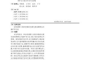 自檢團聚主誘因參數的光催化廢水降解反應器擴容方法