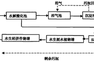 沼氣池-生物膜反應器-人工濕地處理豬場廢水系統