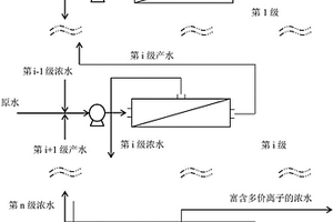 廢水中多價離子的分離方法和系統