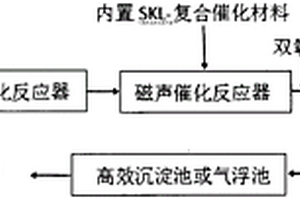 酶預催化-磁聲催化氧化深度水處理方法