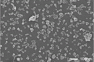 可見光響應的CdS/CdIn<Sub>2</Sub>S<Sub>4</Sub>復合納米結構光催化劑的制備方法及應用