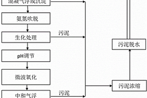 垃圾填埋場滲濾液的處理工藝