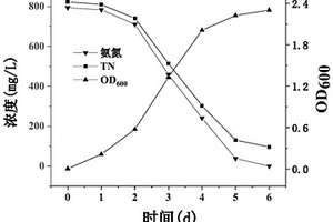 耐氨氮復合菌劑及其應用和制備方法