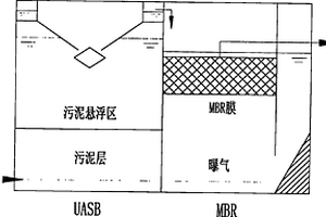 H.S.B.高效微生物技術及UASB+MBR工藝在糞便處理中的應用