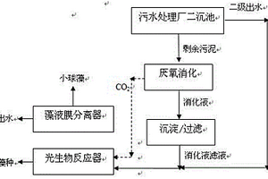 利用污泥厭氧消化液培養產油小球藻的方法