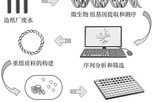 宏基因組來源的木聚糖酶及其編碼基因
