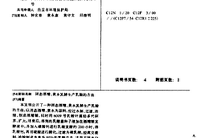 固態酒糟、黃水發酵生產乳酸的方法