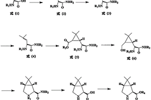 （1R，2S，5S）-6，6-二甲基-3-氮雜雙環[3，1，0]己基-2-羧酸酯的制備方法