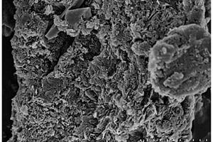非均相光催化劑g-C<Sub>3</Sub>N<Sub>4</Sub>@α-FOD的制備方法及其降解有機污染物的應用