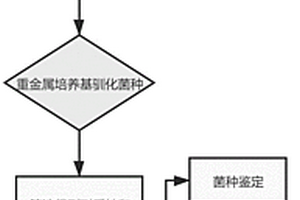 微生物吸附劑及其制備方法和應用