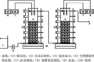同步串聯啟動低基質厭氧氨氧化工藝的方法