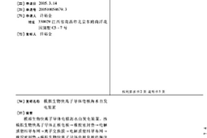 模擬生物快離子導體電極海水自發電裝置