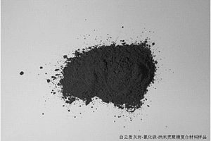 基于饅頭組礦物巖石的白云質灰巖-氧化鐵-納米殼聚糖復合材料及其制備與應用