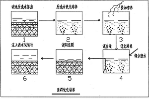 生物膜菌群的優化培養方法