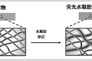 荧光水凝胶接枝改性织物及其制备方法与应用