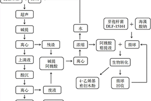 利用米糠粕聯產米糠蛋白和4?乙烯基愈創木酚的方法