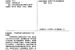 高效陰離子去除劑及其生產方法