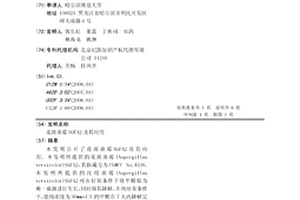 花斑曲霉SGFA2及其應用