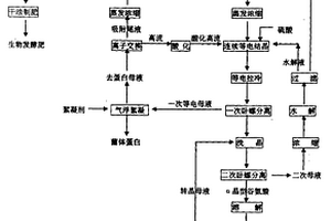 轉晶結合離子交換回收的谷氨酸提取工藝