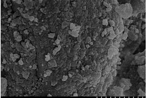納米ZSM-5分子篩催化對二氯苯異構化制備間二氯苯的方法