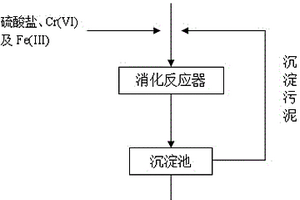 利用污泥制備Cr(VI)污染場地修復菌群的方法