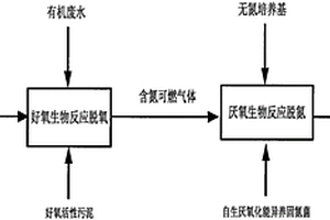 可燃氣體脫氧、脫氮的生物處理方法