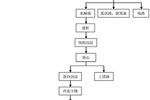 利用水酶法大豆水解液制備功能性蛋白復合物的方法