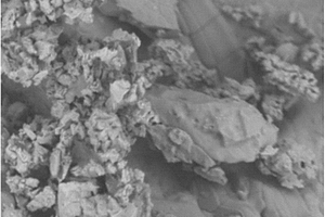 复合贝类改性生物除磷材料及其制备方法和应用