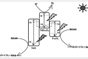 雙Z型光催化劑NiO/NiFe<Sub>2</Sub>O<Sub>4</Sub>/Fe<Sub>2</Sub>O<Sub>3</Sub>及其應用