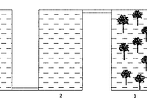 煤礦酸性礦井水生態處理方法