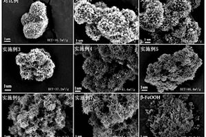 添加外源晶種介導施氏礦物的生物合成方法及其產物與應用