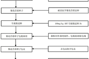 中重度碳酸鹽鹽堿地紫花苜蓿規?；N植方法